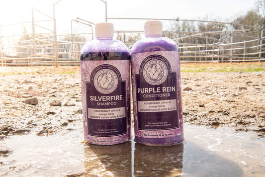 32oz Silverfire Shampoo and Purple Rein Conditioner Set