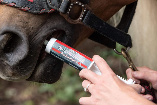 Performance Gel for your horse.